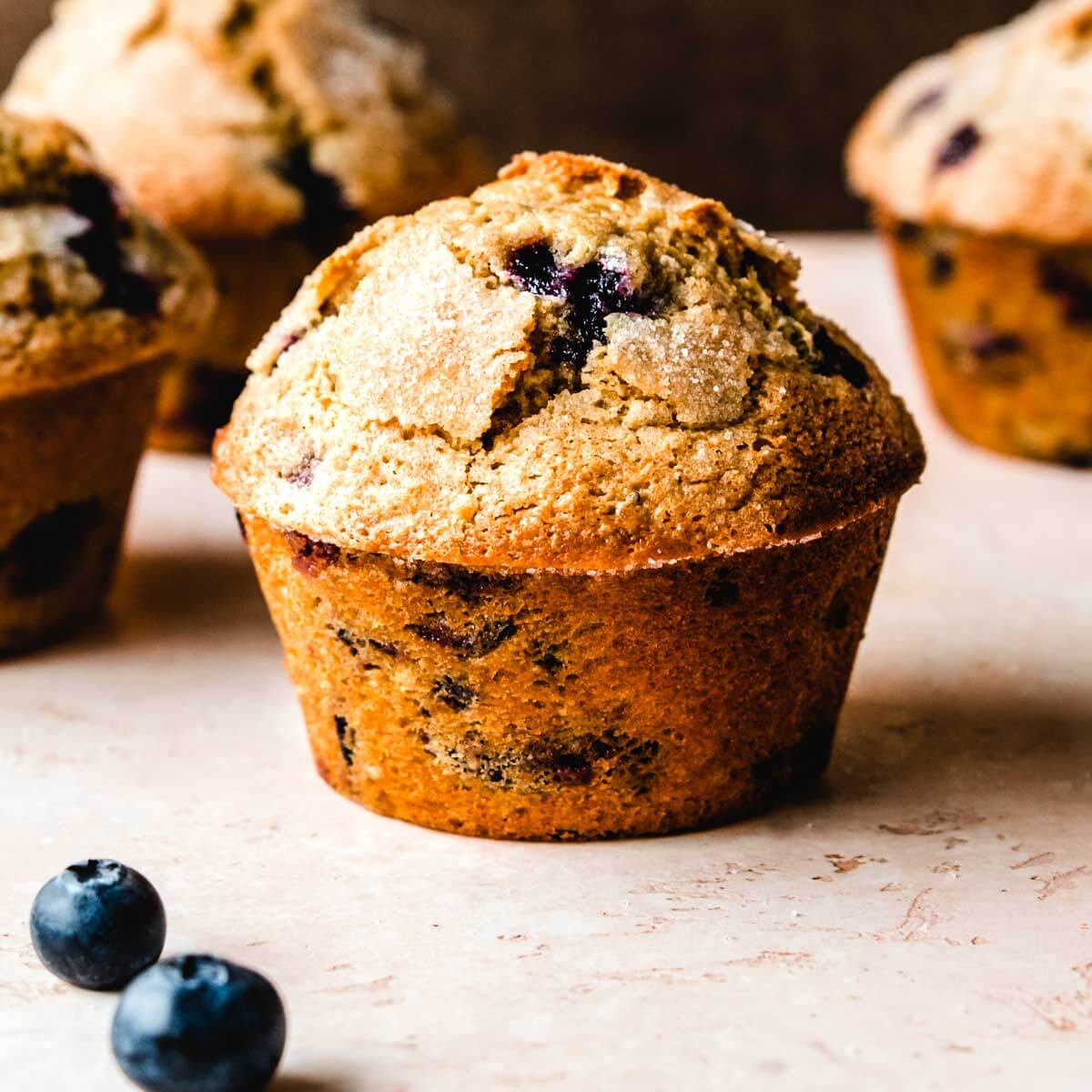 muffins